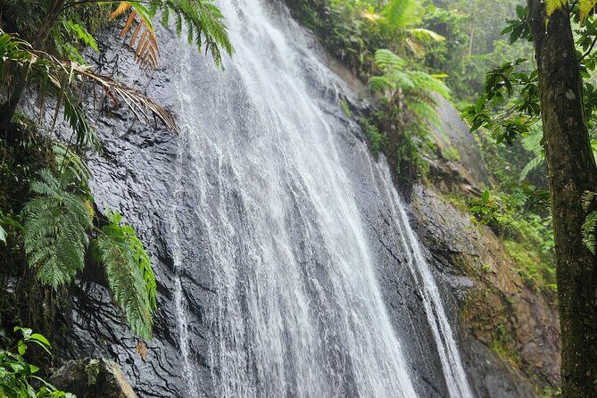 El Yunque National Rainforest and Luquillo Beach Tour - La Coca Falls at 1,476 feet: what to notice up close