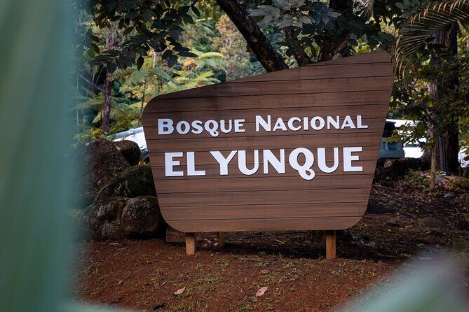 El Yunque Rainforest EZ-going Bus Tour (wheelchair accessible) - Quick take: what makes this tour work