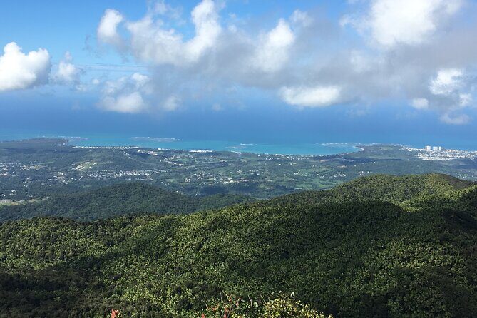 El Yunque Rainforest EZ-going Bus Tour (wheelchair accessible) - Why the El Yunque day feels easy (and still special)