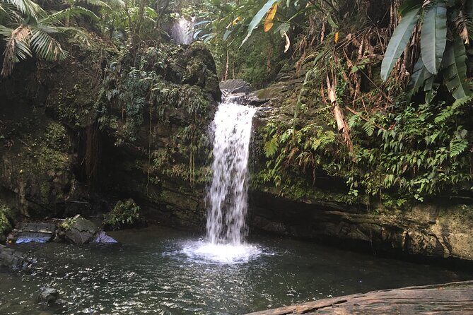 El Yunque Rainforest EZ-going Bus Tour (wheelchair accessible) - Catarata La Coca: classic waterfall views without the grind