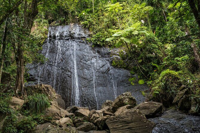 El Yunque Rainforest EZ-going Bus Tour (wheelchair accessible) - Cataratas Juan Diego (optional): easy, short walk if you want it