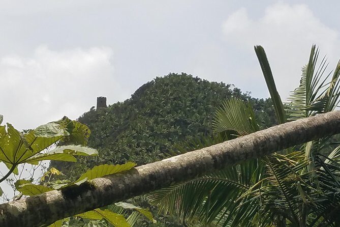 El Yunque Rainforest Full Day Private Tour - Catarata La Coca: a short stop that’s perfect for quick photos