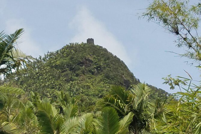 El Yunque Rainforest Full Day Private Tour - Torre Yokahu: the observation tower and the ocean-view payoff