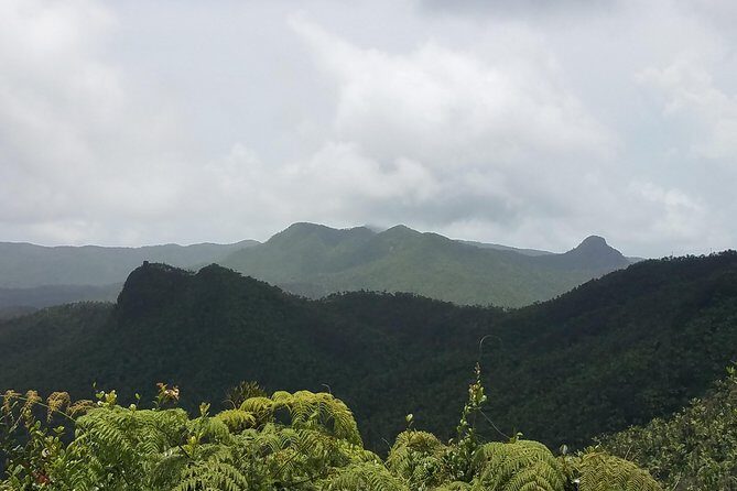 El Yunque Rainforest Full Day Private Tour - The day’s rhythm: how pace, photos, and rain are handled