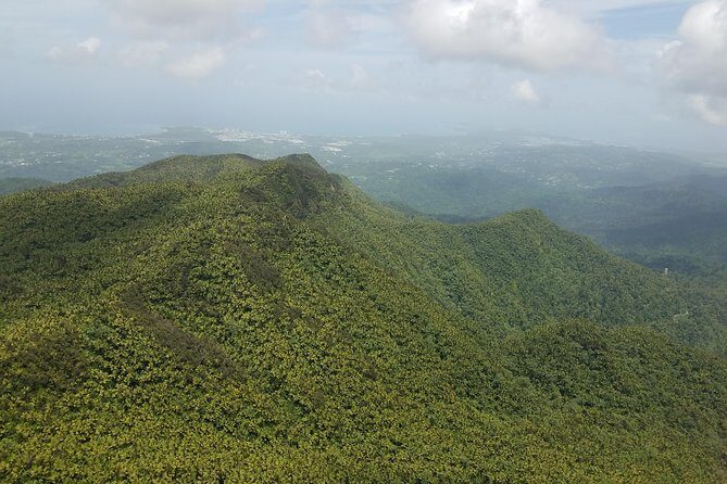 El Yunque Rainforest Full Day Private Tour - What’s included (and what you’ll need to plan yourself)
