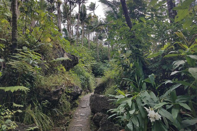 El Yunque Rainforest Full Day Private Tour - Price and value: is $333 per person worth it?