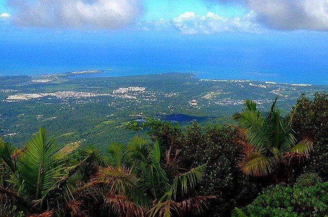 El Yunque Rainforest Guided Tour - Yokahu Observation Tower and Waterfall Stops: The Payoff Moments