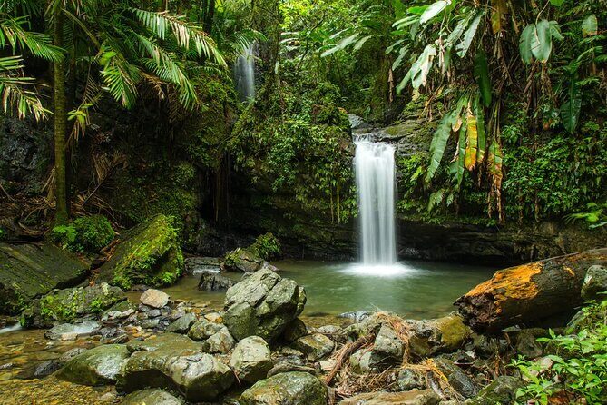 El Yunque Rainforest Guided Tour - What to Pack for El Yunque: The Rainforest List That Actually Helps