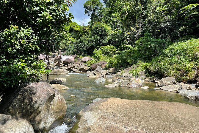 El Yunque Rainforest Hike and Luquillo Beach Tour - Luquillo Beach Stop: La Monserrate for Lunch, Shopping, and Swimming