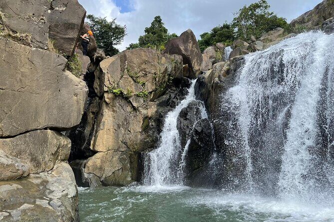 El Yunque Rainforest Hike and Luquillo Beach Tour - Comfort, Fitness, and Practical Tips Before You Go