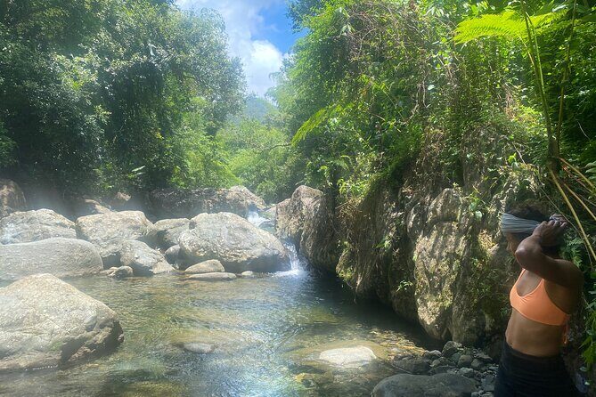 El Yunque Rainforest Morning River and Hike Adventure - The role of your guide: why names like Maxine, Rafael, and Tristan matter