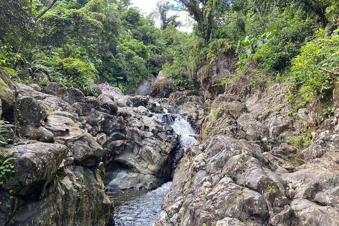El Yunque Rainforest Morning River and Hike Adventure - The El Yunque rainforest hike: short trails with a real payoff
