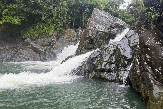 El Yunque Waterslides, Jumps, swing! small business owner:) - Key highlights I’d plan around
