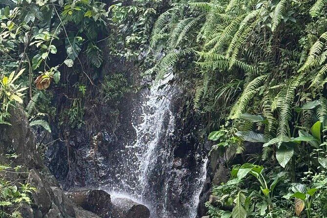 El Yunque Waterslides, Jumps, swing! small business owner:) - Photos and videos: why it’s worth paying for the guide