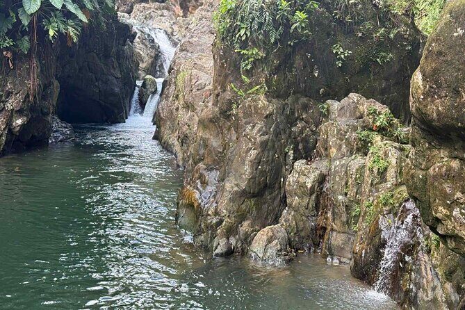 El Yunque Waterslides, Jumps, swing! small business owner:) - Price and value: is $40 per person actually fair?