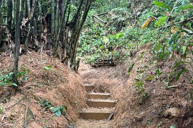 El Yunque Waterslides, Jumps, swing! small business owner:) - Who this tour suits best (and who might want a different day)