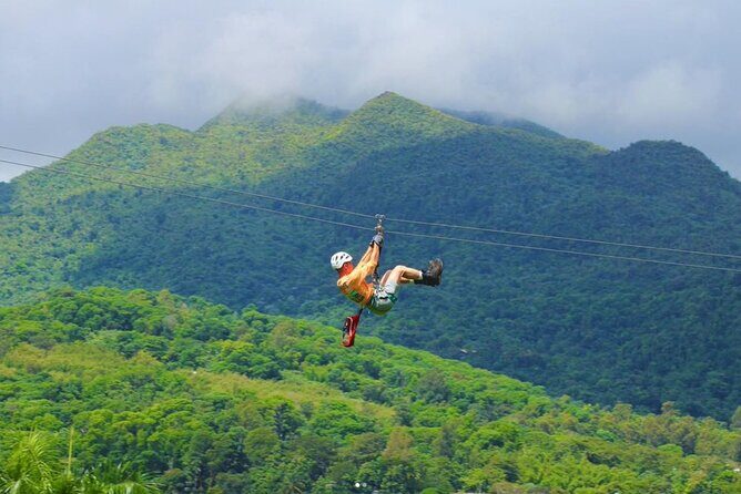 El Yunque Ziplining in Puerto Rico - What the two-hour flow actually looks like