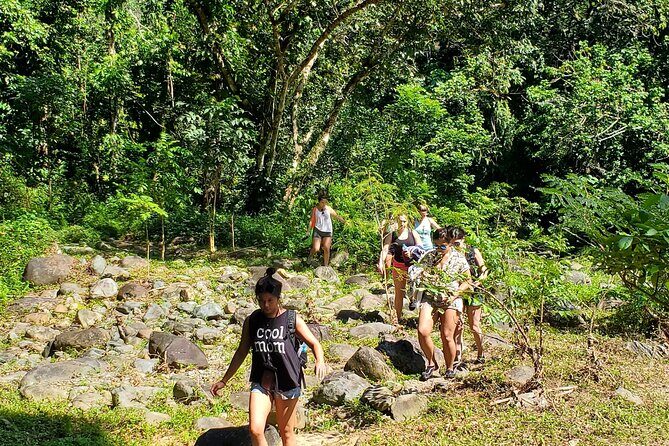 El Yunque Ziplining with River and Beach Visit - Junglequi Zipline Park: nine to eleven lines in El Yunque’s foothills