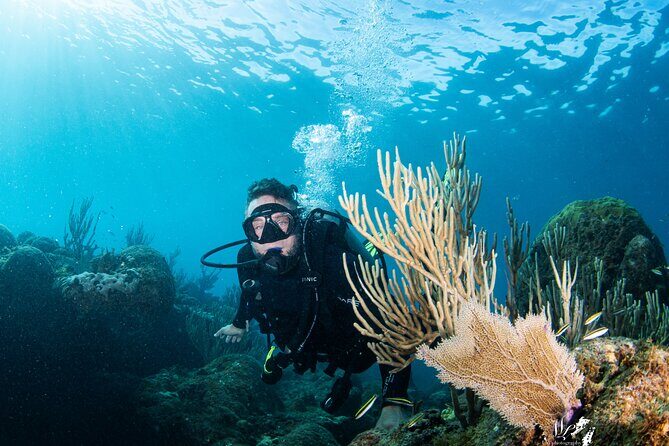 Experience Scuba - Key things that make this scuba outing tick