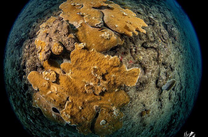 Experience Scuba - First 2 Hours: How the session usually unfolds