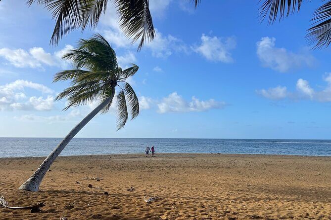 Fajardo Ceiba Ferry Marina Taxi to San Juan Taxi Transportation - Small-group comfort that makes long travel days easier