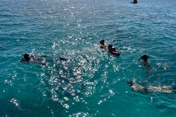 Full Charter All Inclusive for Icacos and Palomino - Beach time and BBQ lunch on Icacos: shade, snacks, and real recovery