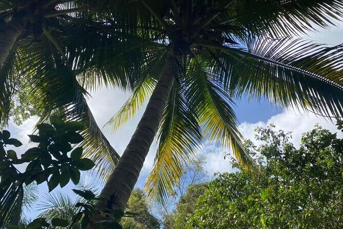 Full Day Eastern Island Tour - The coast drive and the Eastern beaches you’ll recognize