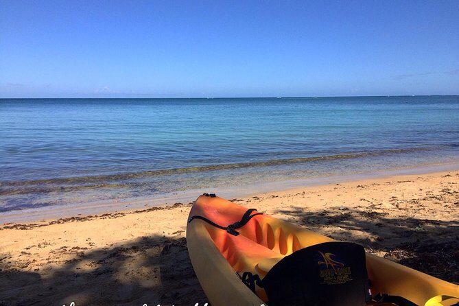 Full-Day Kayak Adventure – Explore Fajardo’s Crystal-Clear Waters - Key highlights worth your attention
