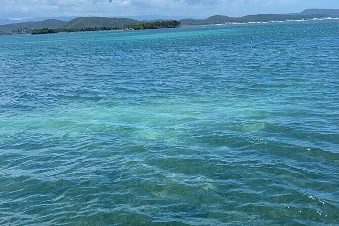 Full-Day Private Cruise in Cayo Caracoles - Key Highlights You’ll Actually Feel During the Trip