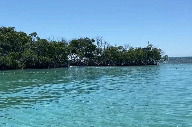 Full-Day Private Cruise in Cayo Caracoles - What You’ll See Underwater: Fish Time and Big Surprises