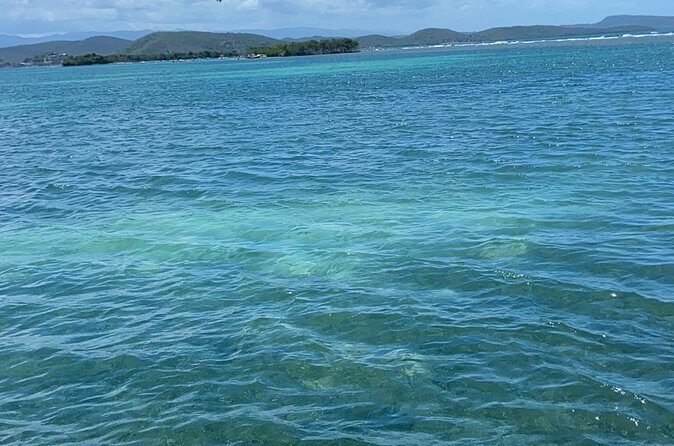 Full-Day Private Cruise in Cayo Caracoles - The Private Boat Advantage: Your Pace, Your Music, Your Breaks