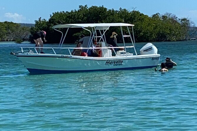 Full-Day Private Cruise in Cayo Caracoles - Price and Value: $500 for Up to 6 (When It Makes Sense)
