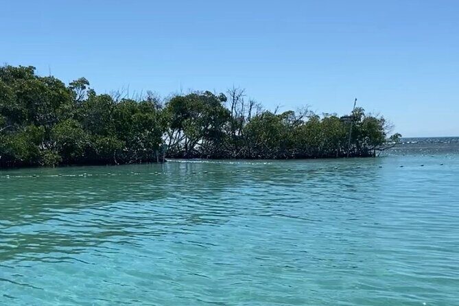 Full-Day Private Cruise in Cayo Caracoles - Weather, Conditions, and Realistic Expectations