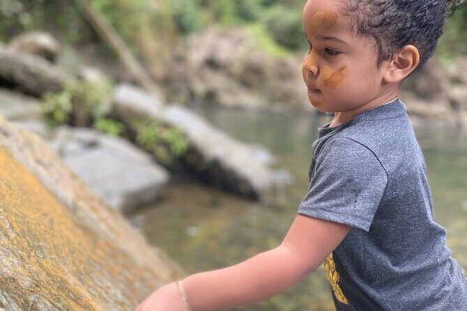 Full-Day Private Tour to Tinajas Waterfalls in El Yunque - Entering El Yunque National Forest: Hike First, Then Play