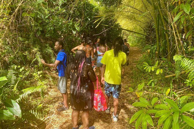 Full-Day Private Tour to Tinajas Waterfalls in El Yunque - The Waterslides and Rope Swings: The Fun (and the Reality Check)