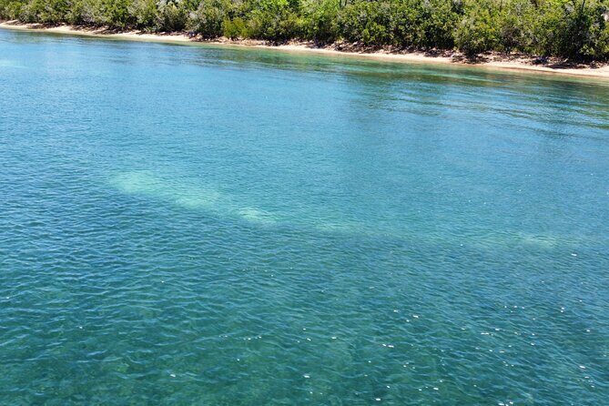 Full-Day Snorkeling Gear Rental in Puerto Rico - Cabezas de San Juan Snorkeling, Without the Rushed Group Pace