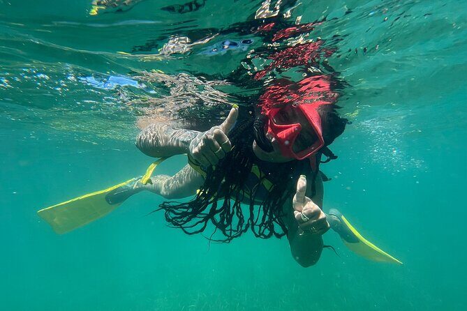 Full-Day Snorkeling Gear Rental in Puerto Rico - The Marine-Life ID Card: Turning What You See Into Real Learning