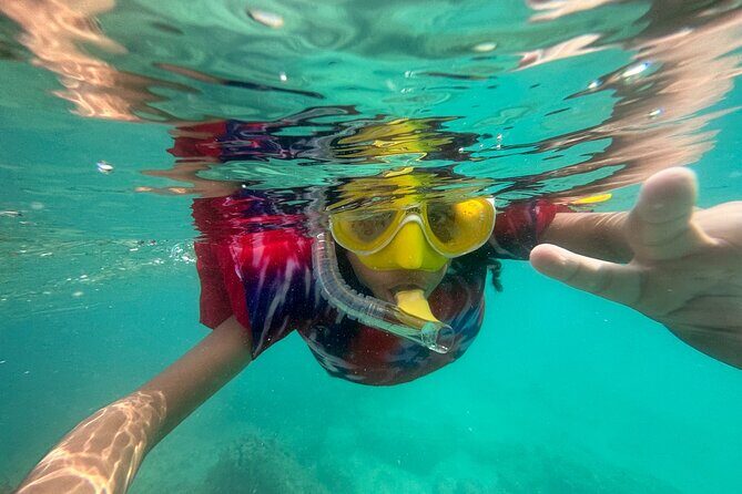Full-Day Snorkeling Gear Rental in Puerto Rico - The Experience Start at Pirate Snorkeling Shack (and Why That Setup Helps)