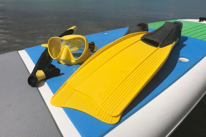 Full-Day Snorkeling Gear Rental in Puerto Rico - Your Gear Kit: What’s Included and Why It Matters