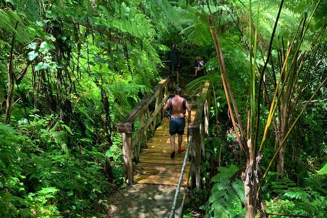 Full-Day Tour: El Yunque, Luquillo Beach, Bio Bay Night Kayaking - Hotel pickup, travel time, and the 10-hour full-day rhythm