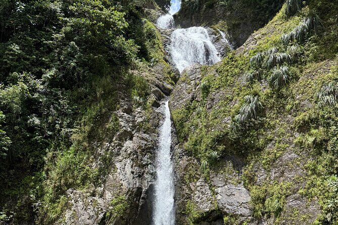 Full Day Waterfalls of Puerto Rico: Central Mountains Escape - FinCafé Coffee Shop: A Tasting Break Between Hikes