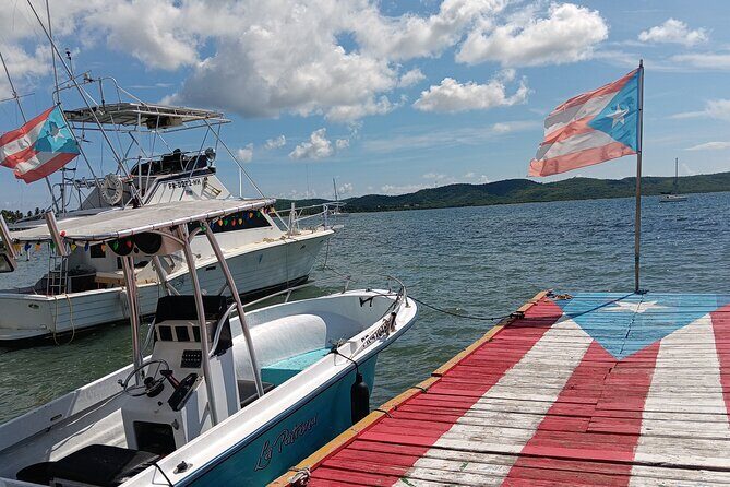 Full Day West Coast Adventure in Puerto Rico - Why this West Coast loop is smart for a first visit