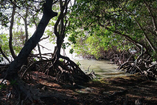 Full Day West Coast Adventure in Puerto Rico - Cabo Rojo Lighthouse: cliffs, a walk, and the kind of sunset you plan for