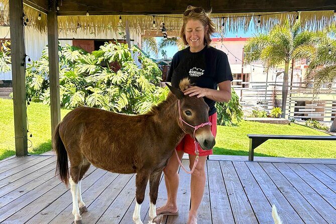 Guided Hike with Miniature Donkeys to a Secluded Beach - The walk down to Playa Princesa (Princess Beach)