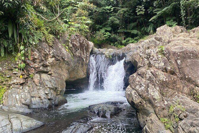 Half-Day El Yunque and Waterslides Adventure from Fajardo - Meeting in Fajardo: Bring a Car, Bring Patience