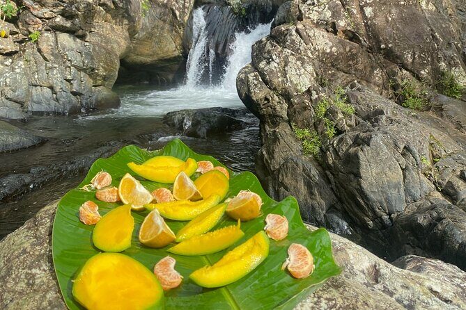 Half-Day El Yunque and Waterslides Adventure from Fajardo - Playa Luquillo After El Yunque: Lunch on Your Own, Beach Time on Your Terms