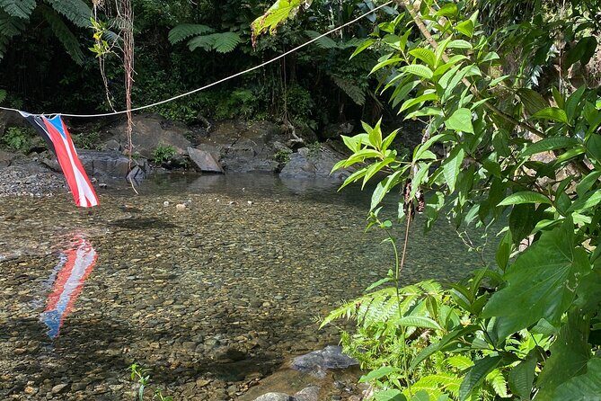 Half-Day El Yunque and Waterslides Adventure from Fajardo - Simple Tips That Make the Day Go Smoother