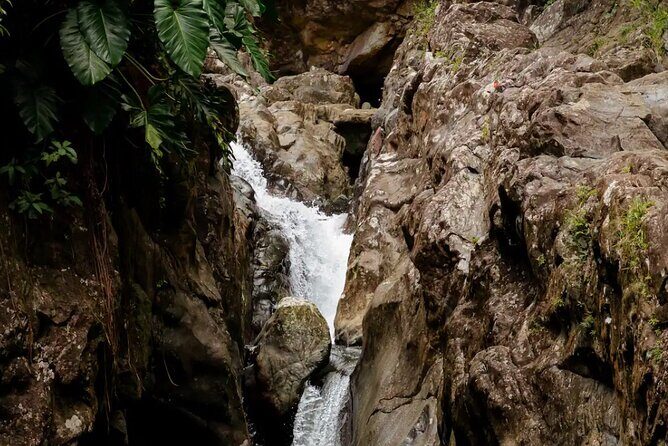 Half-Day El Yunque Waterslide Excursion （no Transportation) - Hike Reality Check: Unassisted Walking, Fitness, and Mud-Ready Shoes