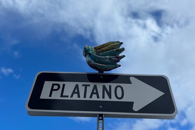 Half-Day: Old San Juan, Calle Cerra,Santurce, La Placita & Loíza - Who This Tour Fits Best (and Who Might Skip It)