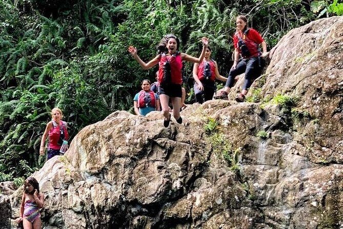 Half-Day: Rainforest and Waterslide Adventure with Transportation - Included for $105: what you’re really getting (and why it’s not just a bus ride)